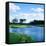 Pond in a Golf Course, Carolina Golf and Country Club, Charlotte, North Carolina, USA-null-Framed Stretched Canvas