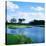 Pond in a Golf Course, Carolina Golf and Country Club, Charlotte, North Carolina, USA-null-Stretched Canvas