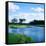Pond in a Golf Course, Carolina Golf and Country Club, Charlotte, North Carolina, USA-null-Framed Stretched Canvas