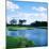 Pond in a Golf Course, Carolina Golf and Country Club, Charlotte, North Carolina, USA-null-Mounted Photographic Print