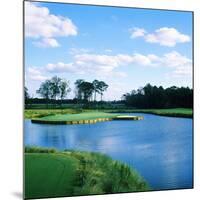 Pond in a Golf Course, Carolina Golf and Country Club, Charlotte, North Carolina, USA-null-Mounted Photographic Print