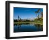 Pond in a Golf Course, Desert Princess Country Club, Palm Springs, Riverside County, California-null-Framed Photographic Print