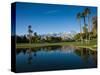 Pond in a Golf Course, Desert Princess Country Club, Palm Springs, Riverside County, California-null-Stretched Canvas