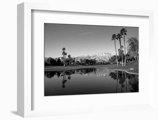 Pond in a golf course, Desert Princess Country Club, Palm Springs, Riverside County, California...-null-Framed Photographic Print