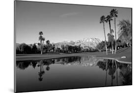 Pond in a golf course, Desert Princess Country Club, Palm Springs, Riverside County, California...-null-Mounted Photographic Print