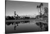 Pond in a golf course, Desert Princess Country Club, Palm Springs, Riverside County, California...-null-Stretched Canvas