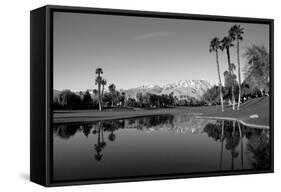 Pond in a golf course, Desert Princess Country Club, Palm Springs, Riverside County, California...-null-Framed Stretched Canvas