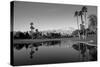 Pond in a golf course, Desert Princess Country Club, Palm Springs, Riverside County, California...-null-Stretched Canvas