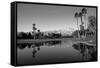 Pond in a golf course, Desert Princess Country Club, Palm Springs, Riverside County, California...-null-Framed Stretched Canvas