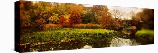 Pond in a Park, Central Park, Manhattan, New York City, New York State, USA-null-Stretched Canvas