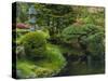 Pond in Japanese Tea Garden, San Francisco, California, USA-Anna Miller-Stretched Canvas