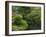 Pond in Japanese Tea Garden, San Francisco, California, USA-Anna Miller-Framed Premium Photographic Print