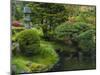 Pond in Japanese Tea Garden, San Francisco, California, USA-Anna Miller-Mounted Premium Photographic Print