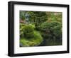 Pond in Japanese Tea Garden, San Francisco, California, USA-Anna Miller-Framed Photographic Print