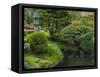 Pond in Japanese Tea Garden, San Francisco, California, USA-Anna Miller-Framed Stretched Canvas