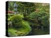 Pond in Japanese Tea Garden, San Francisco, California, USA-Anna Miller-Stretched Canvas