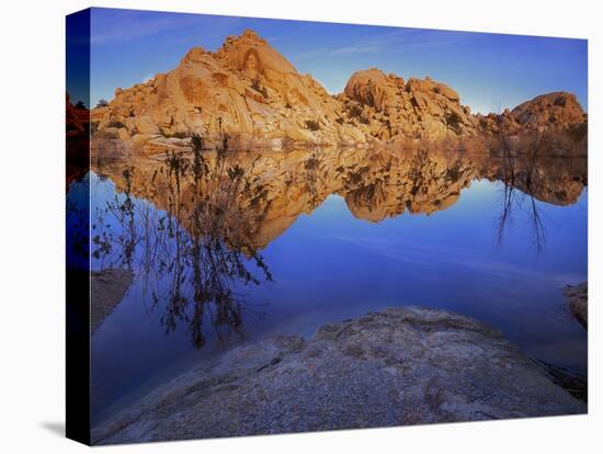 Pond in Joshua Tree National Park, Barker Tank, California, USA-Charles Gurche-Stretched Canvas