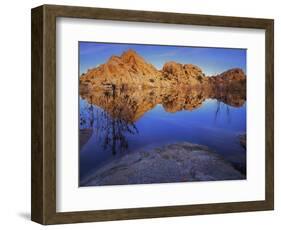 Pond in Joshua Tree National Park, Barker Tank, California, USA-Charles Gurche-Framed Photographic Print