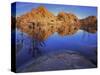 Pond in Joshua Tree National Park, Barker Tank, California, USA-Charles Gurche-Stretched Canvas