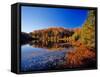 Pond in the Chaquamegon National Forest, Cable, Wisconsin, USA-Chuck Haney-Framed Stretched Canvas