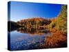 Pond in the Chaquamegon National Forest, Cable, Wisconsin, USA-Chuck Haney-Stretched Canvas