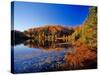 Pond in the Chaquamegon National Forest, Cable, Wisconsin, USA-Chuck Haney-Stretched Canvas