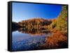 Pond in the Chaquamegon National Forest, Cable, Wisconsin, USA-Chuck Haney-Framed Stretched Canvas
