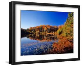 Pond in the Chaquamegon National Forest, Cable, Wisconsin, USA-Chuck Haney-Framed Photographic Print