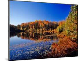 Pond in the Chaquamegon National Forest, Cable, Wisconsin, USA-Chuck Haney-Mounted Photographic Print