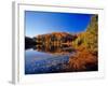 Pond in the Chaquamegon National Forest, Cable, Wisconsin, USA-Chuck Haney-Framed Photographic Print