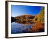 Pond in the Chaquamegon National Forest, Cable, Wisconsin, USA-Chuck Haney-Framed Photographic Print