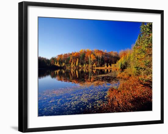 Pond in the Chaquamegon National Forest, Cable, Wisconsin, USA-Chuck Haney-Framed Photographic Print