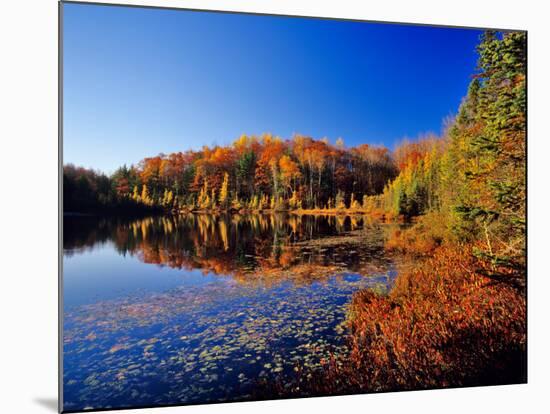 Pond in the Chaquamegon National Forest, Cable, Wisconsin, USA-Chuck Haney-Mounted Photographic Print