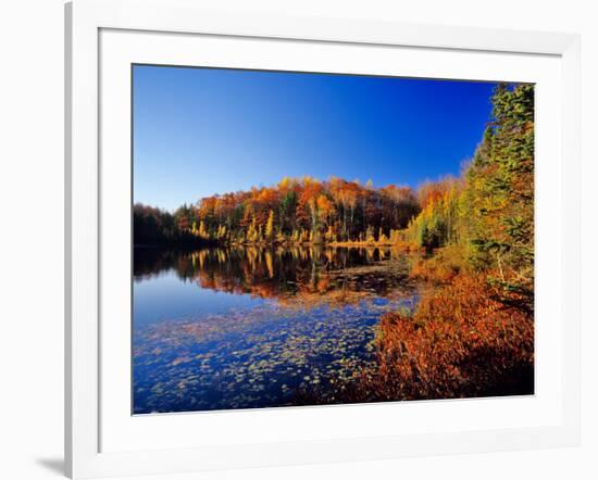 Pond in the Chaquamegon National Forest, Cable, Wisconsin, USA-Chuck Haney-Framed Photographic Print