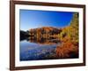 Pond in the Chaquamegon National Forest, Cable, Wisconsin, USA-Chuck Haney-Framed Photographic Print