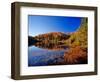 Pond in the Chaquamegon National Forest, Cable, Wisconsin, USA-Chuck Haney-Framed Photographic Print