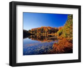 Pond in the Chaquamegon National Forest, Cable, Wisconsin, USA-Chuck Haney-Framed Photographic Print