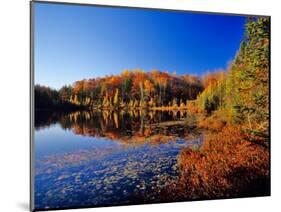 Pond in the Chaquamegon National Forest, Cable, Wisconsin, USA-Chuck Haney-Mounted Photographic Print