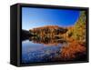 Pond in the Chaquamegon National Forest, Cable, Wisconsin, USA-Chuck Haney-Framed Stretched Canvas