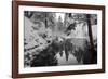 Pond in the Winter Forest-Klaus Scholz-Framed Photographic Print