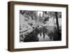 Pond in the Winter Forest-Klaus Scholz-Framed Photographic Print