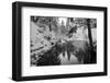 Pond in the Winter Forest-Klaus Scholz-Framed Photographic Print