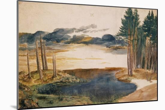 Pond in the Woods (Weiher im Walde). Watercolour and tempera Inv. 5218-167.-Albrecht Dürer-Mounted Giclee Print