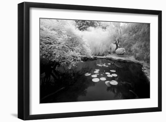 Pond IR-John Gusky-Framed Photographic Print