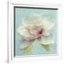 Pond Lily Sq-Amy Melious-Framed Art Print