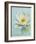 Pond Lily-Amy Melious-Framed Art Print