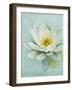 Pond Lily-Amy Melious-Framed Art Print