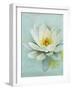 Pond Lily-Amy Melious-Framed Art Print