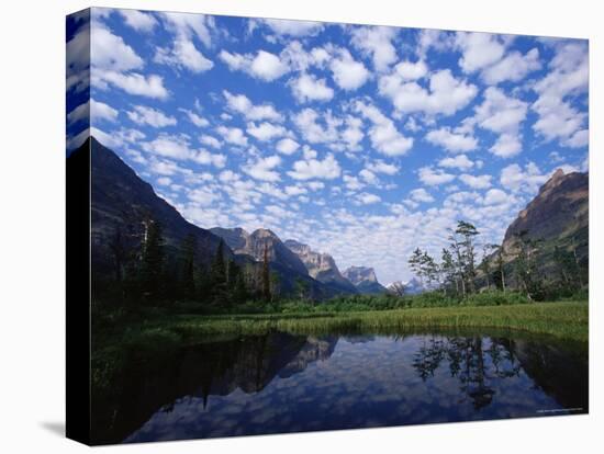 Pond Next to St. Mary Lake, Glacier National Park, Montana, United States of America, North America-James Hager-Stretched Canvas