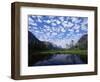 Pond Next to St. Mary Lake, Glacier National Park, Montana, United States of America, North America-James Hager-Framed Photographic Print